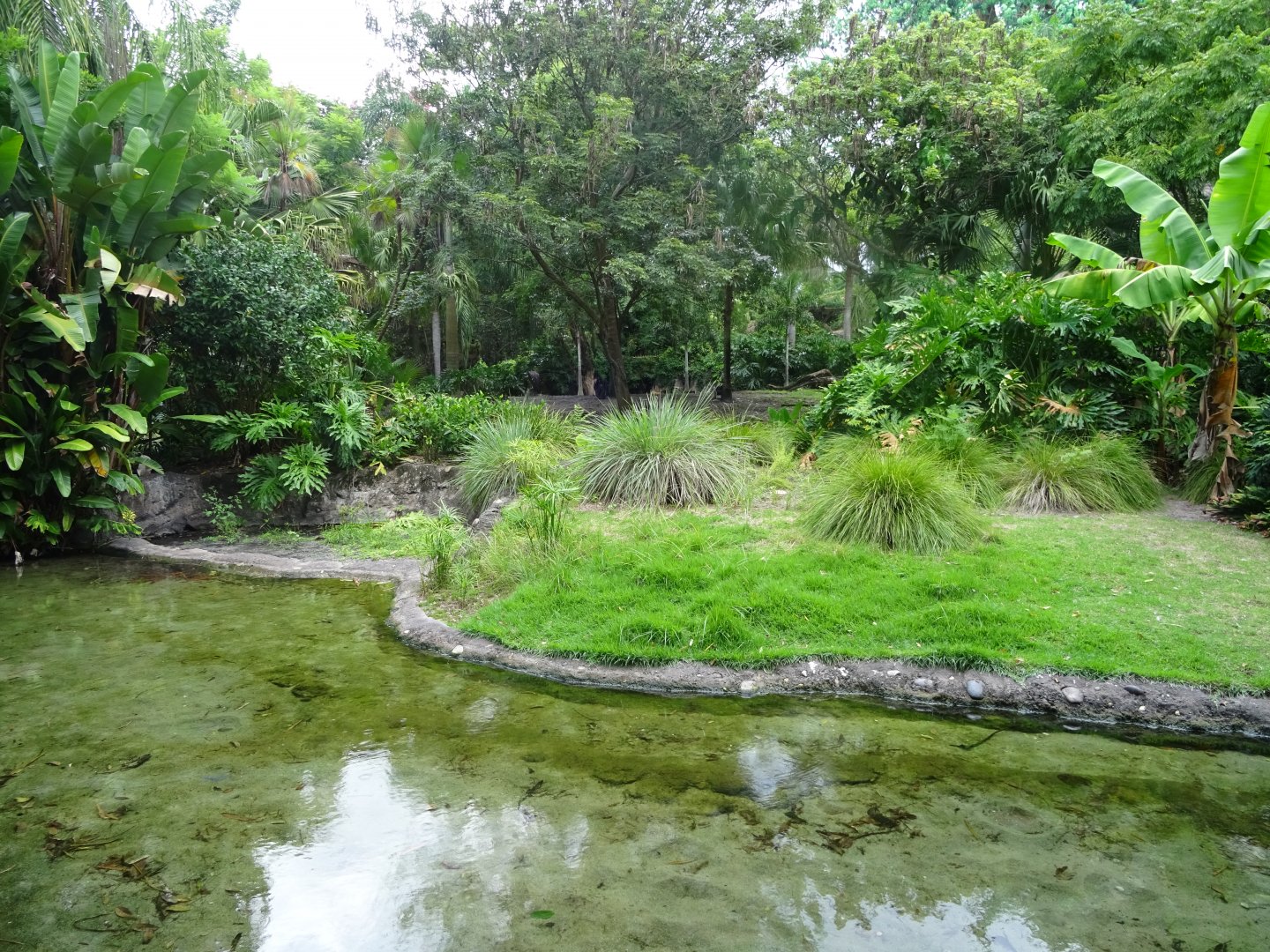 Flamingo, Vulture and Kangaroo Enclosure at Disney's Animal Kingdom (2014)