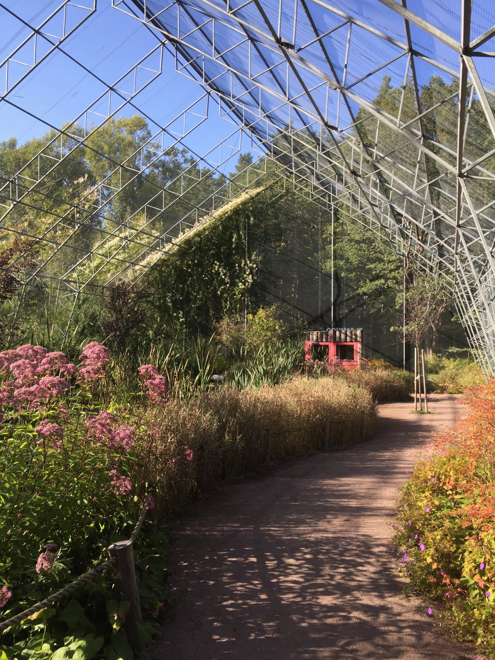 Flamingo Walk-through aviary.