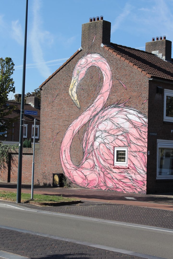 Flamingo Wall-painting