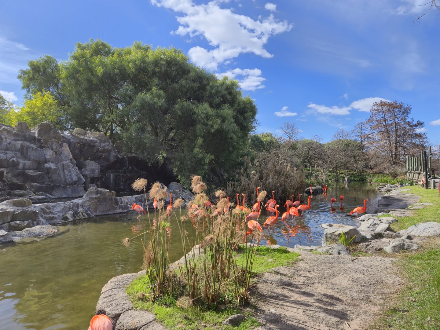 Flamingo welcoming exhibit