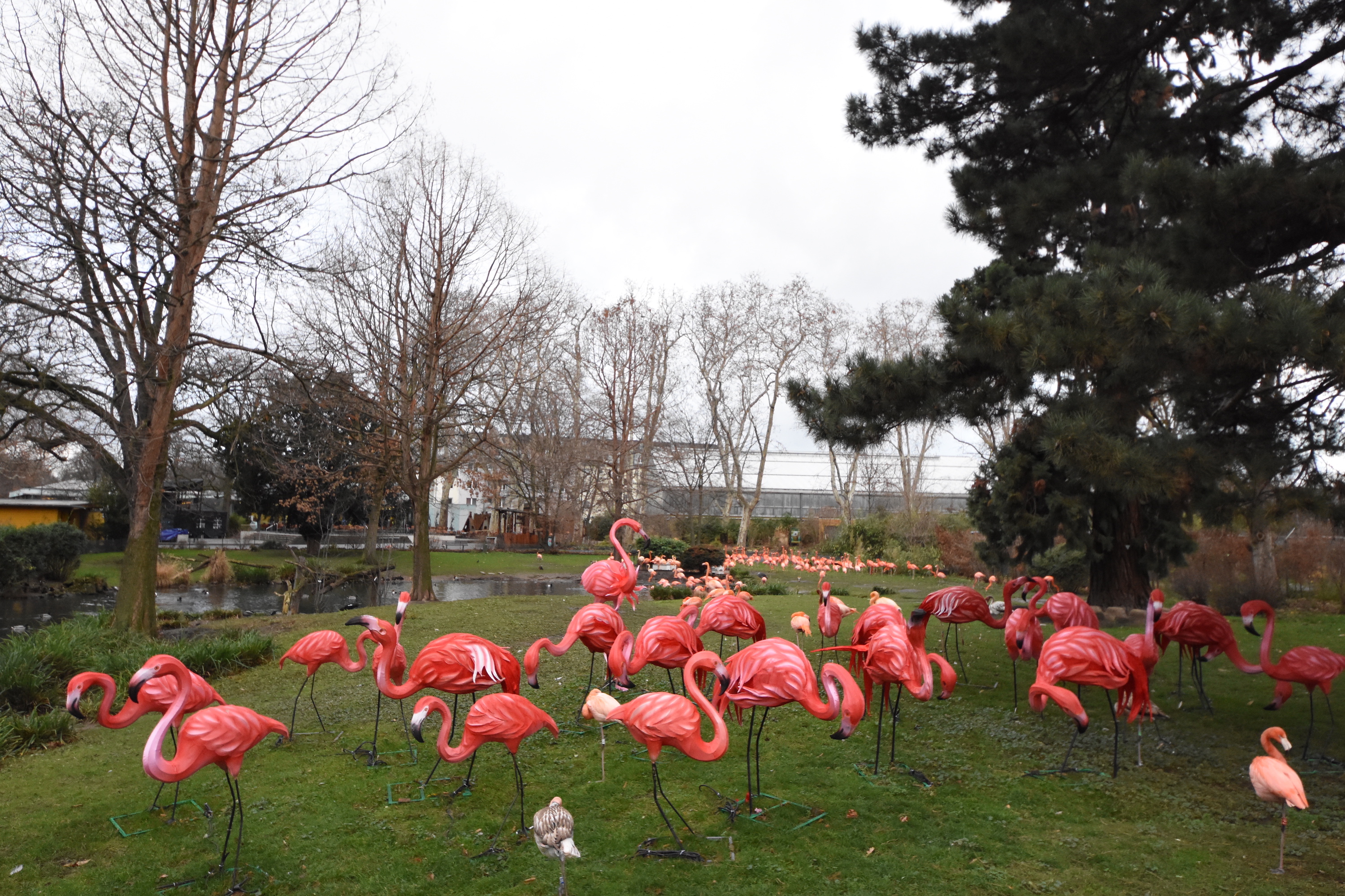 Flamingoes at China Light festival
