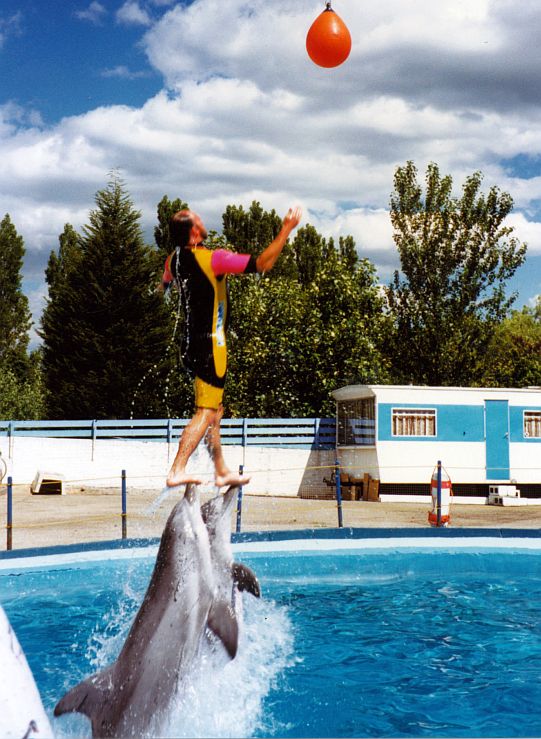 Flamingoland Dolphinarium 1984 - 1993