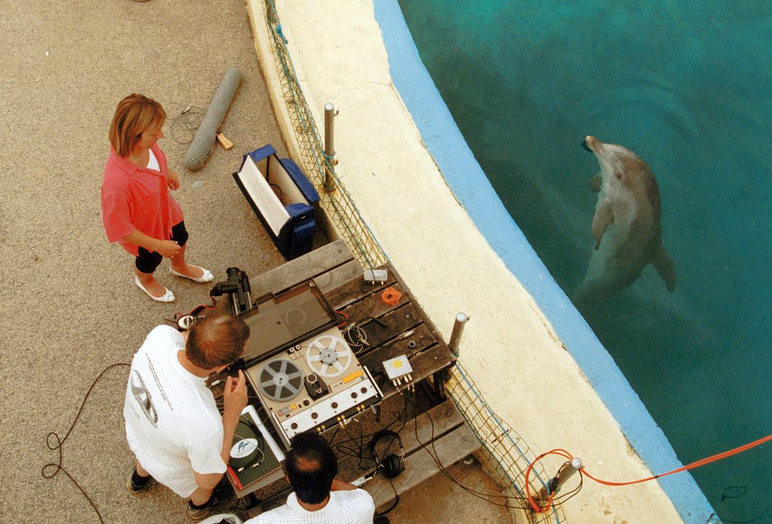 Flamingoland Dolphinarium 1984 - 1993