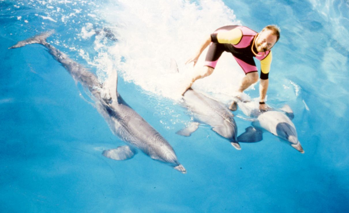 Flamingoland Dolphinarium 1984 - 1993