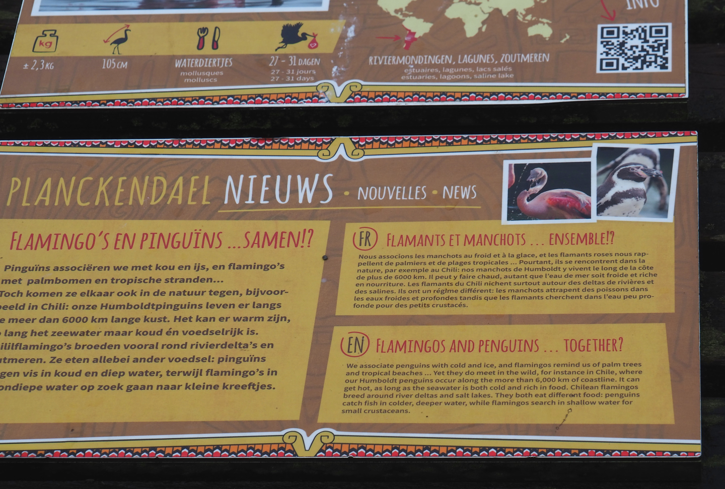 Flamingos and penguins in one aviary signage, 2021-11-06