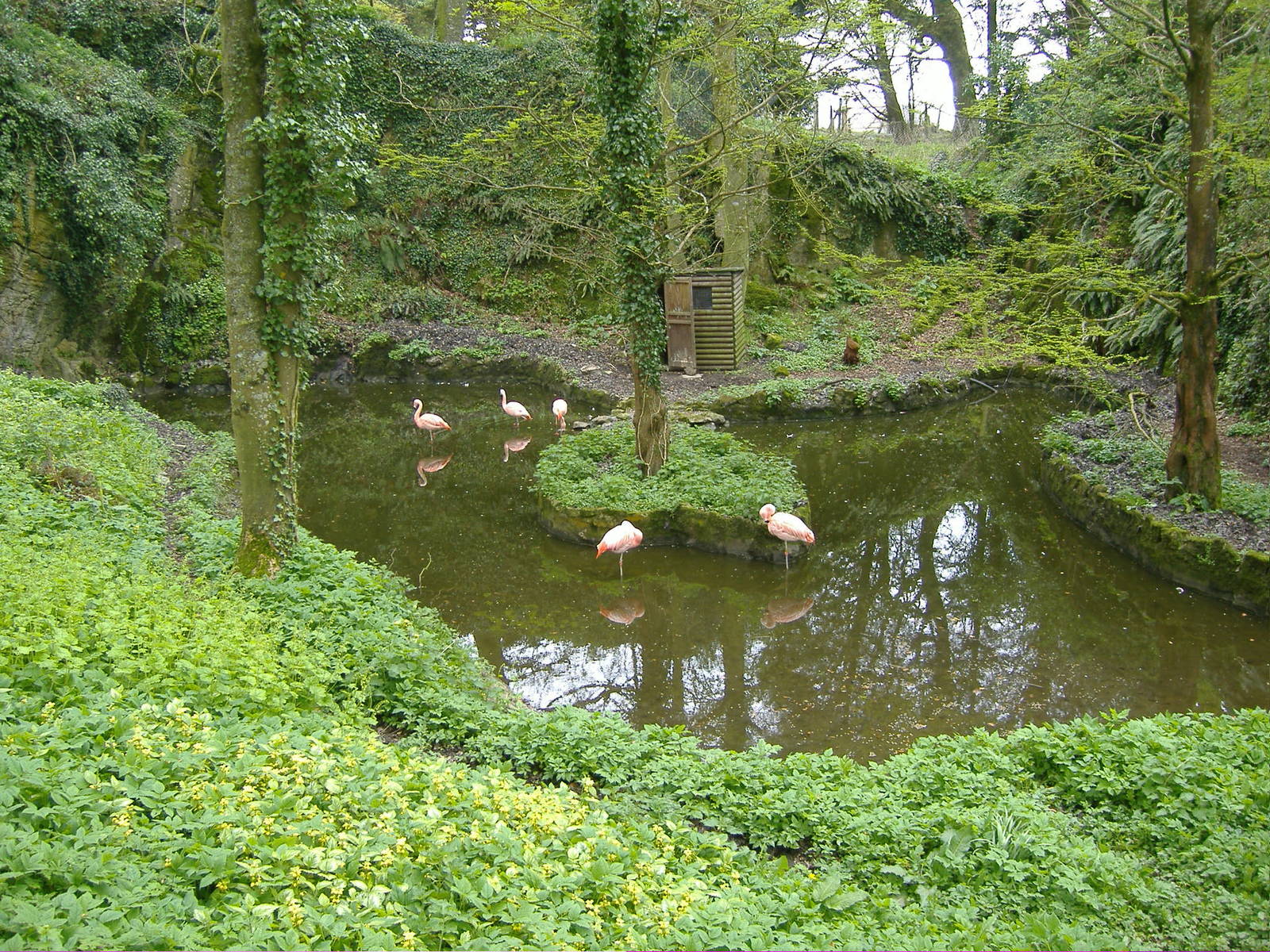 Flamingos Manor House