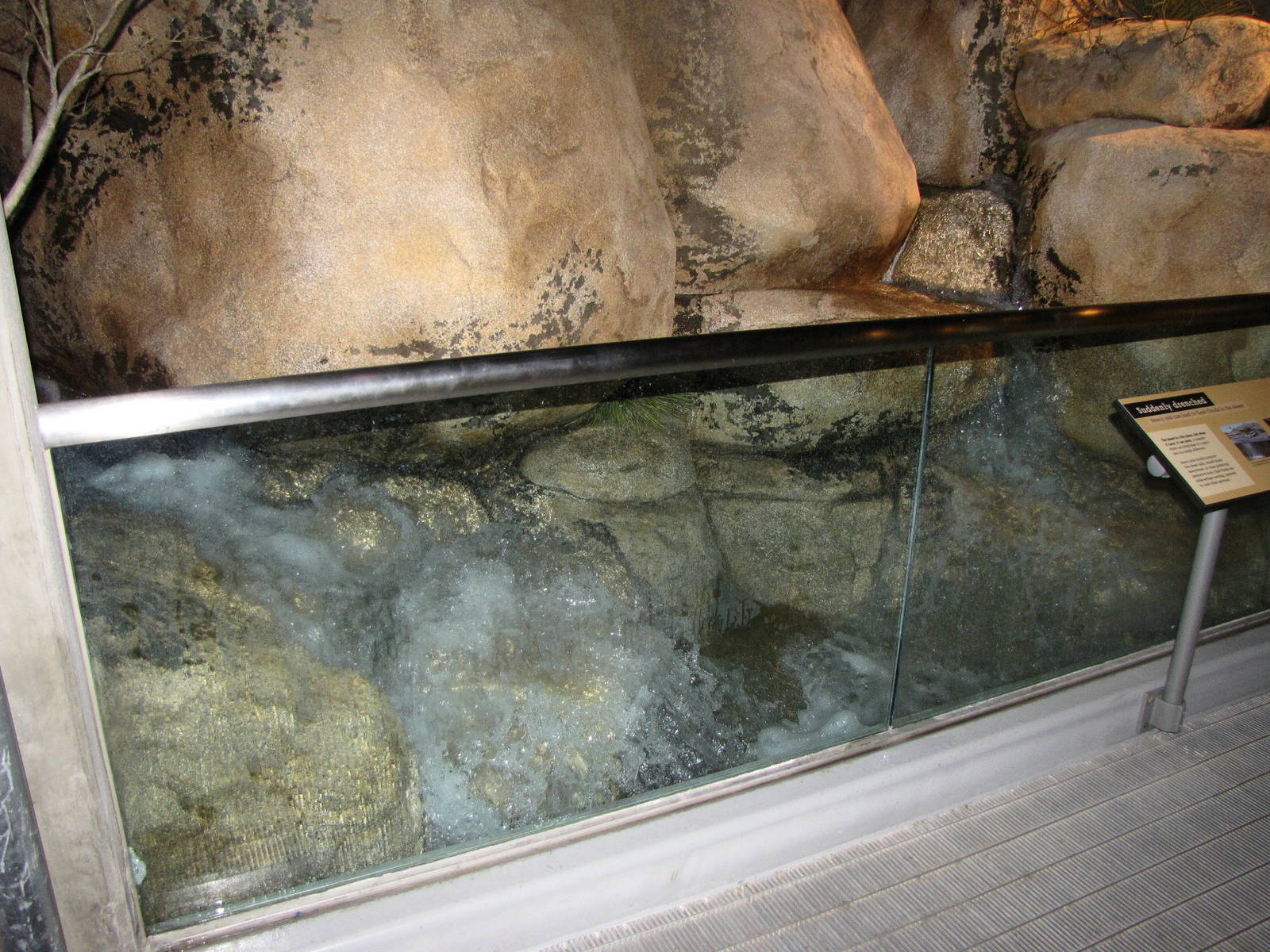 Flash Flood Display - Desert Habitat