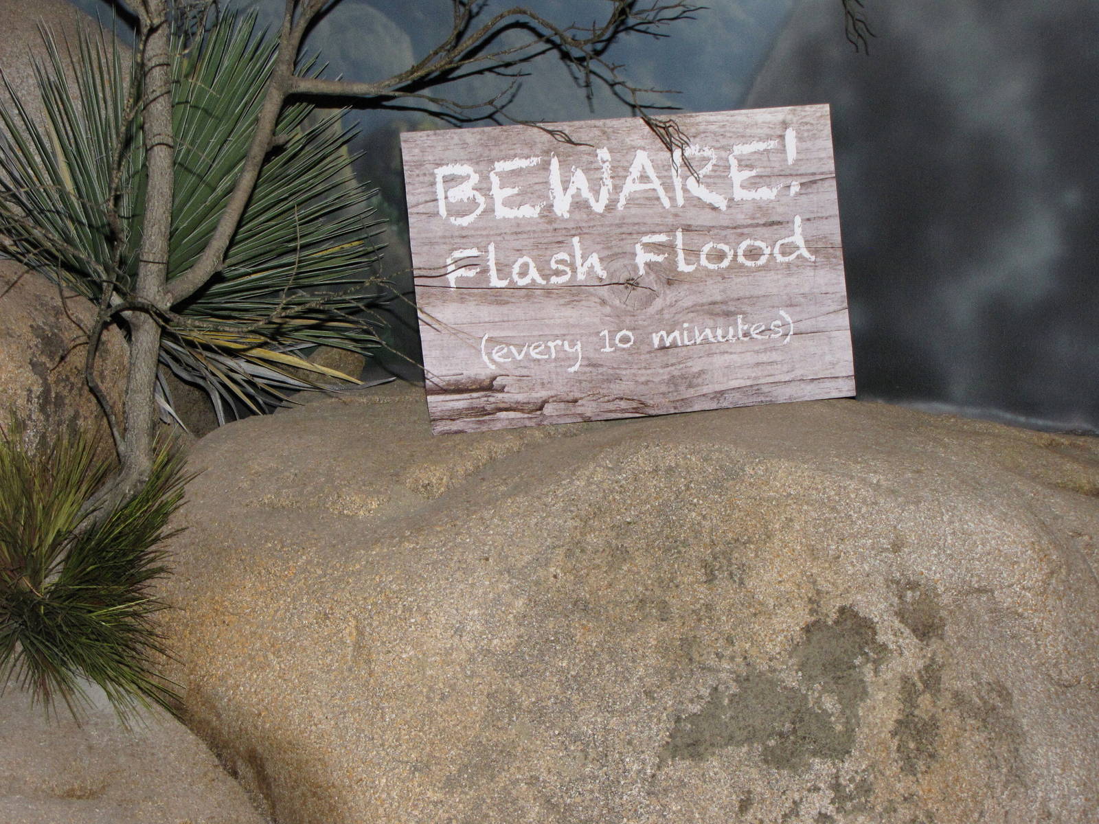 Flash Flood Display - Desert Zone