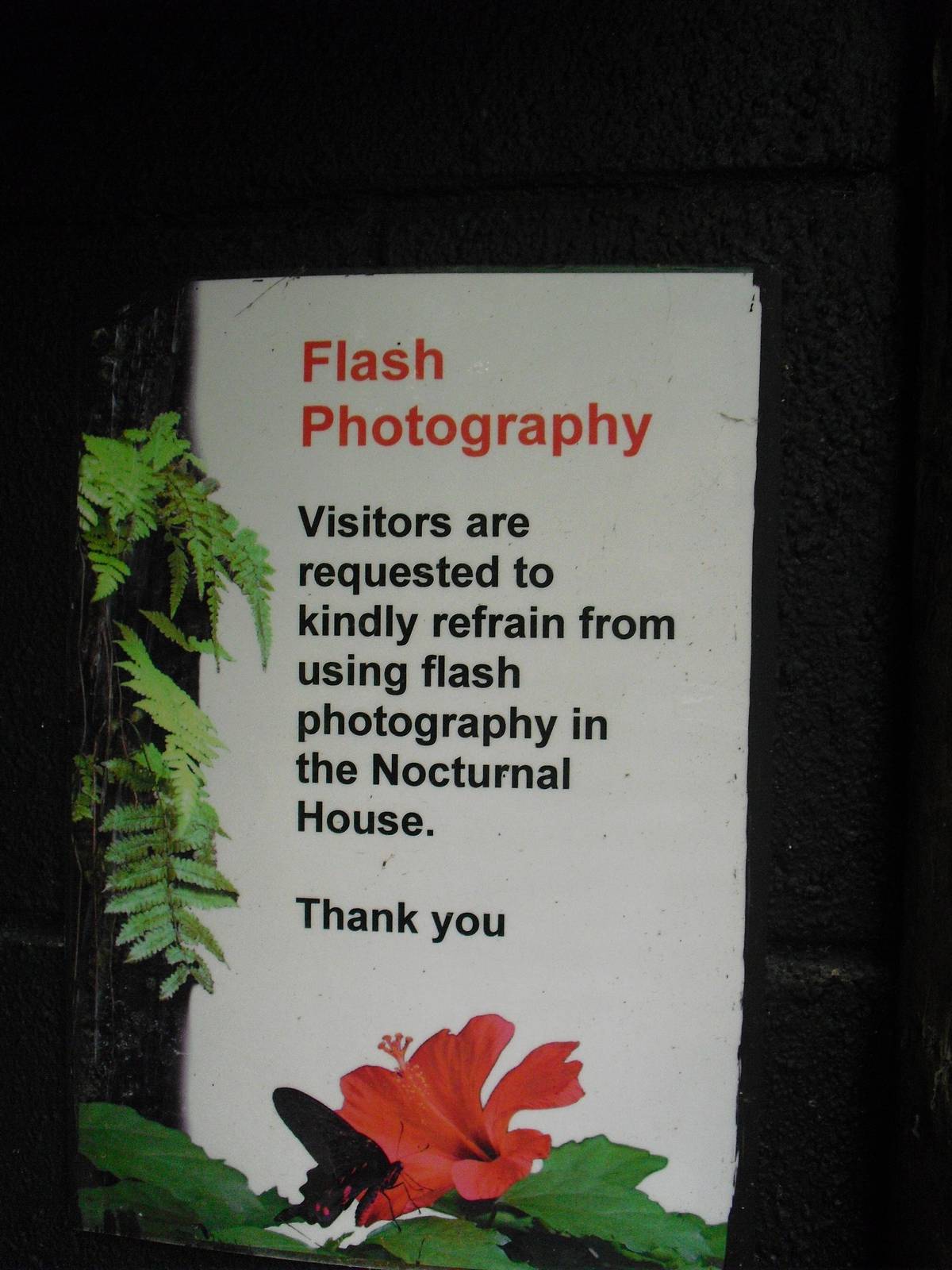 Flash Photography Sign - 27/10/2011