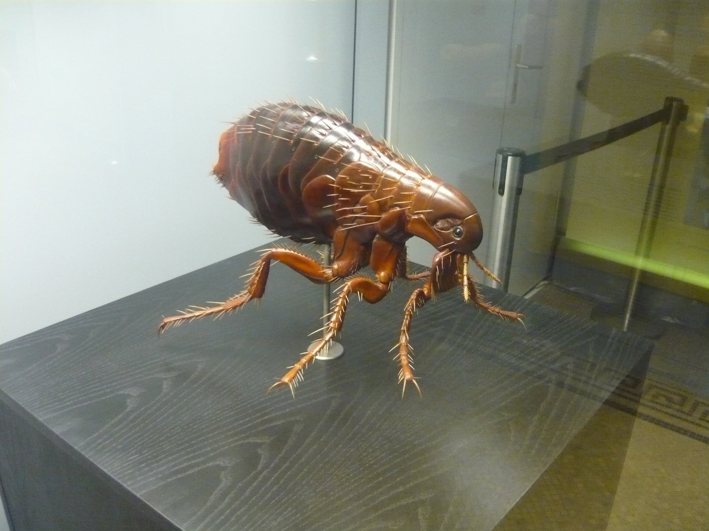 Flea model