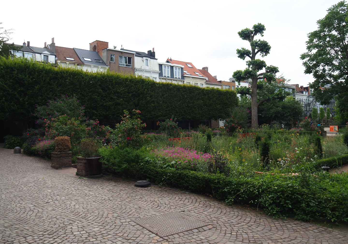 Flemish Garden area, 2020-06-28