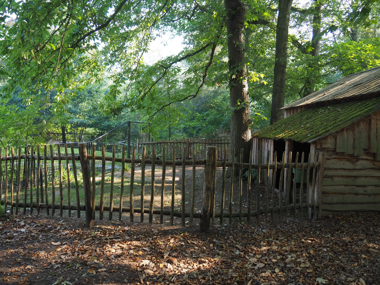 Flemish geese barn and pen, 2020-09-16
