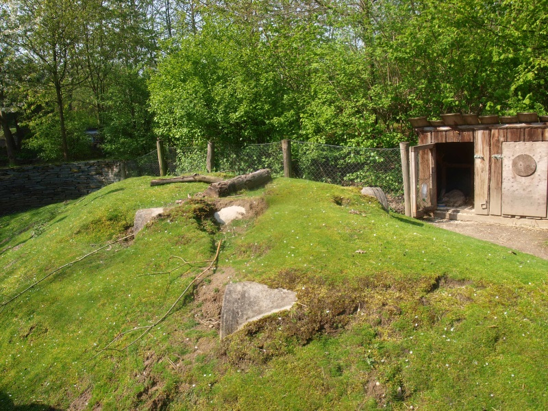 Flemish giant rabbit pen (May 2nd, 2015)