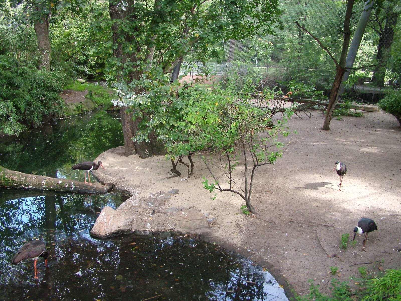 Flight Aviary at Berlin Zoo, 31/08/11