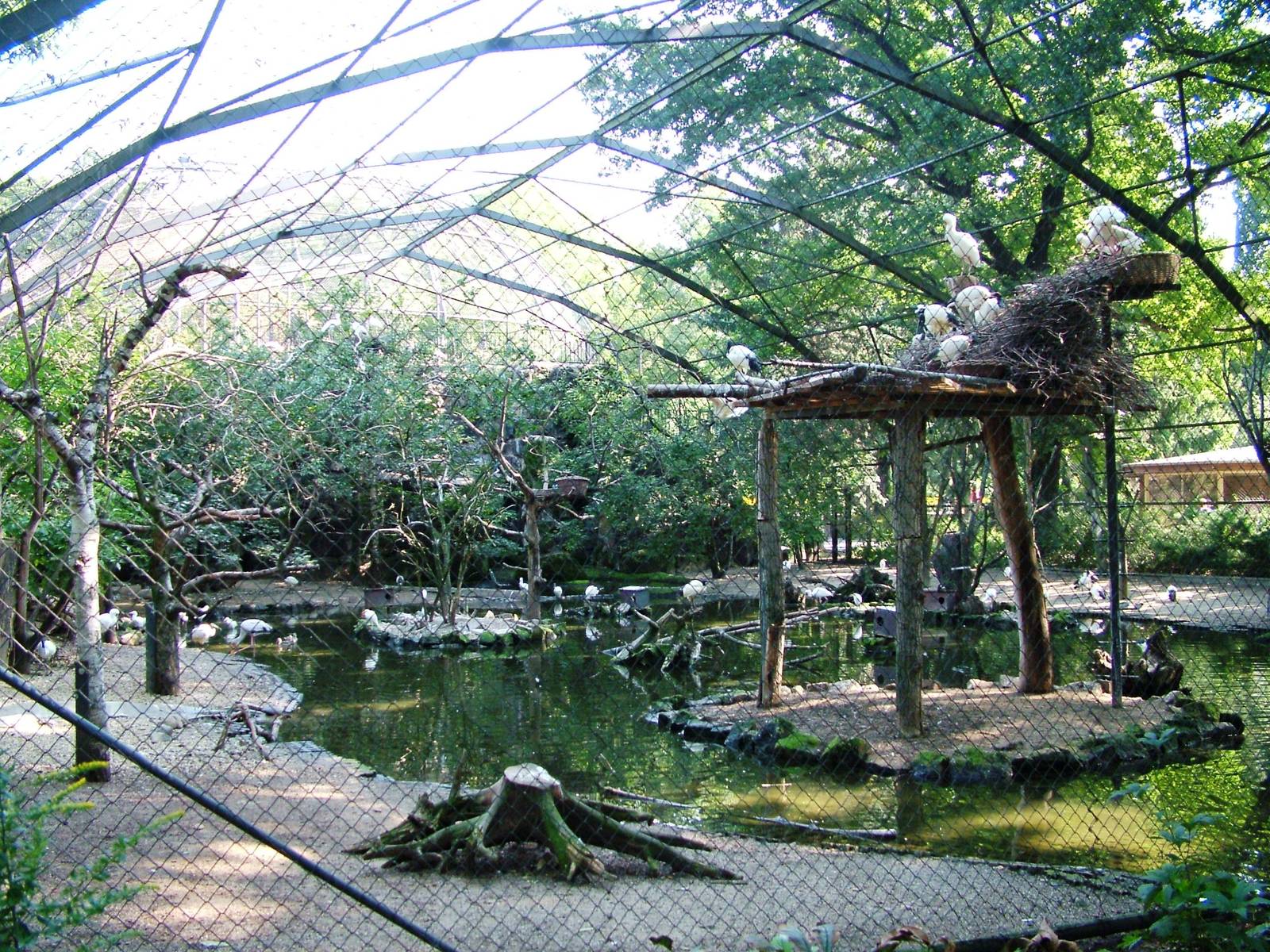 Flight Aviary at Dresden, 29/08/12