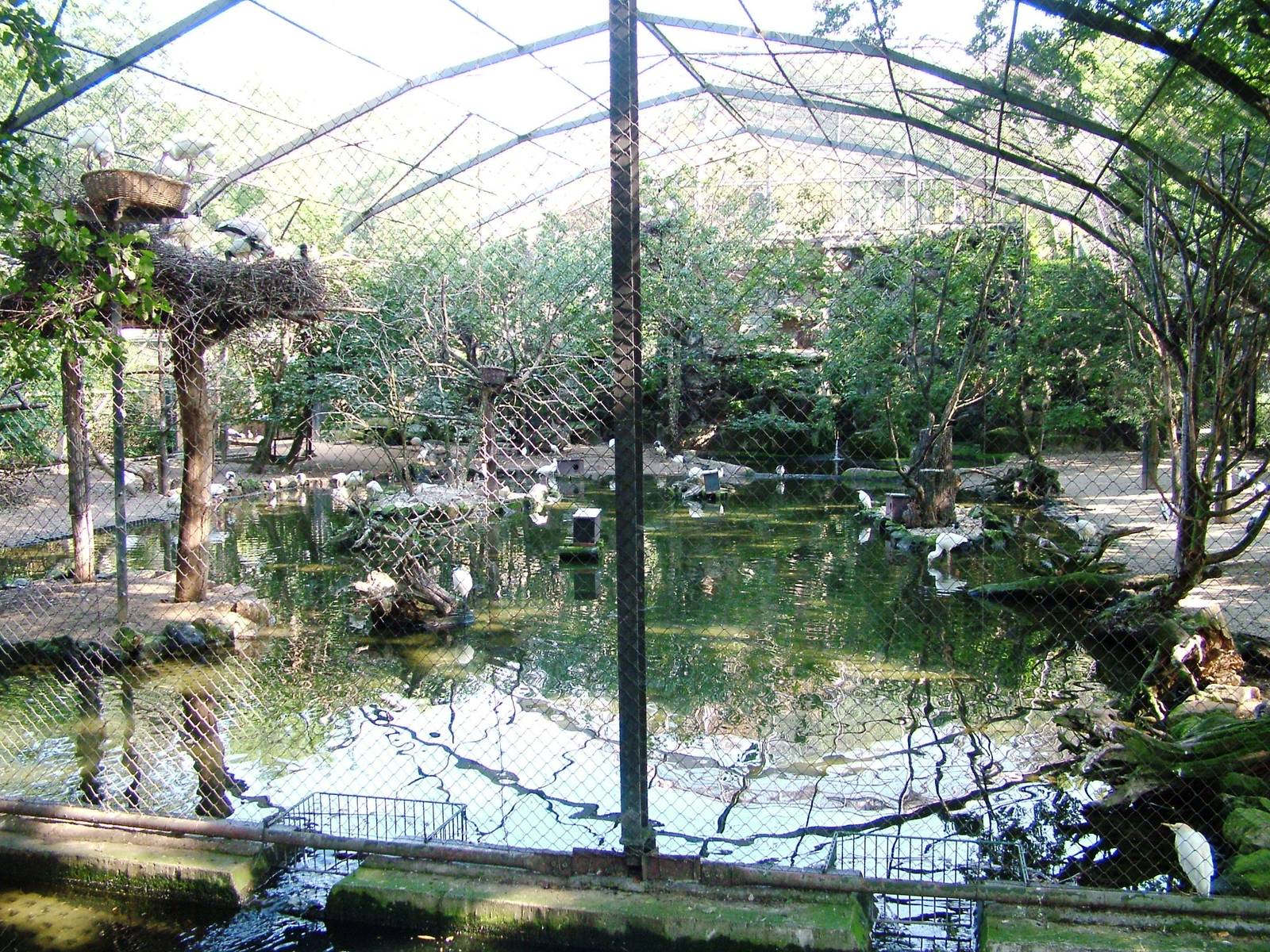 Flight Aviary at Dresden, 29/08/12
