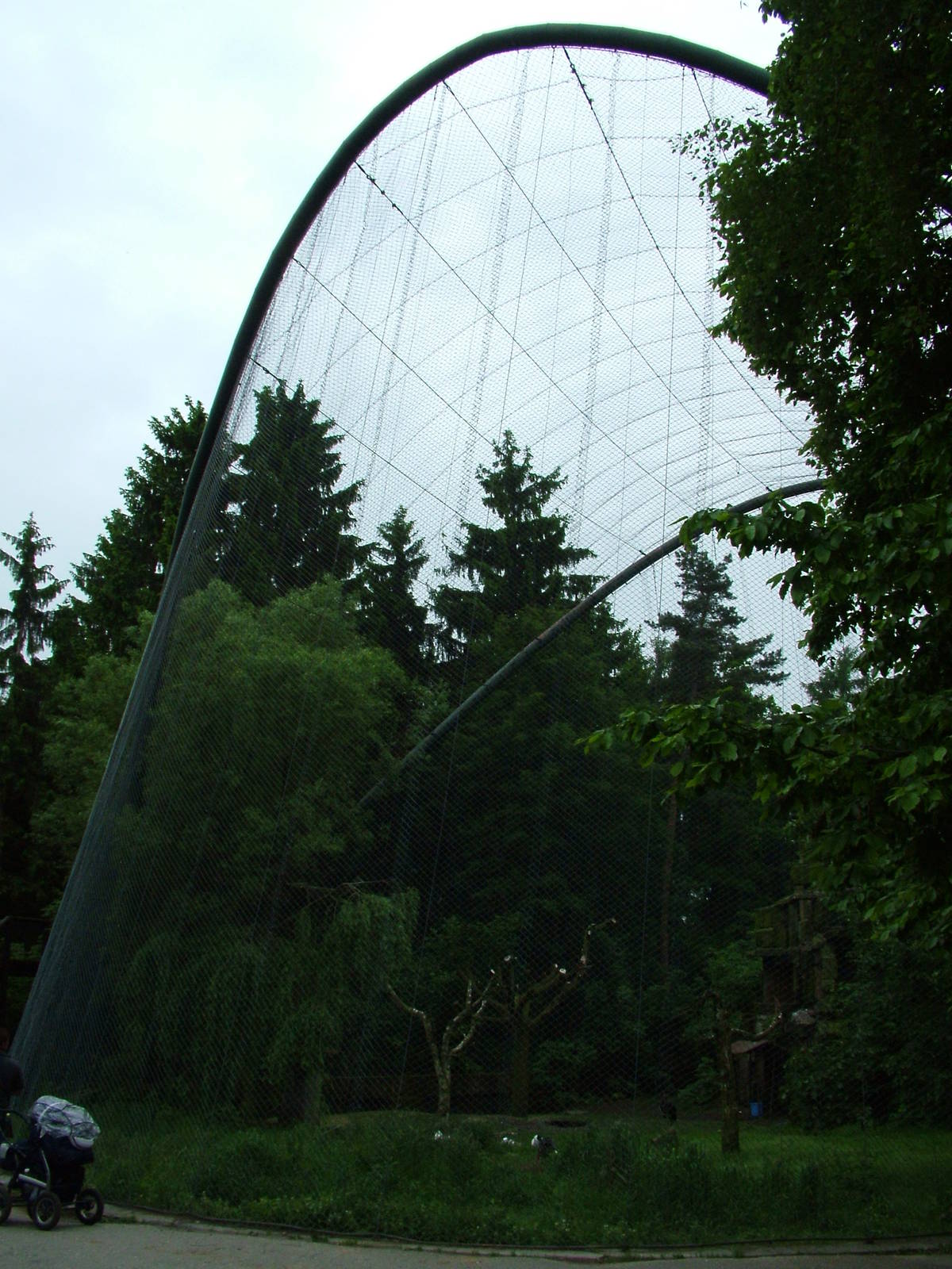 Flight aviary at Olomouc 30/05/09