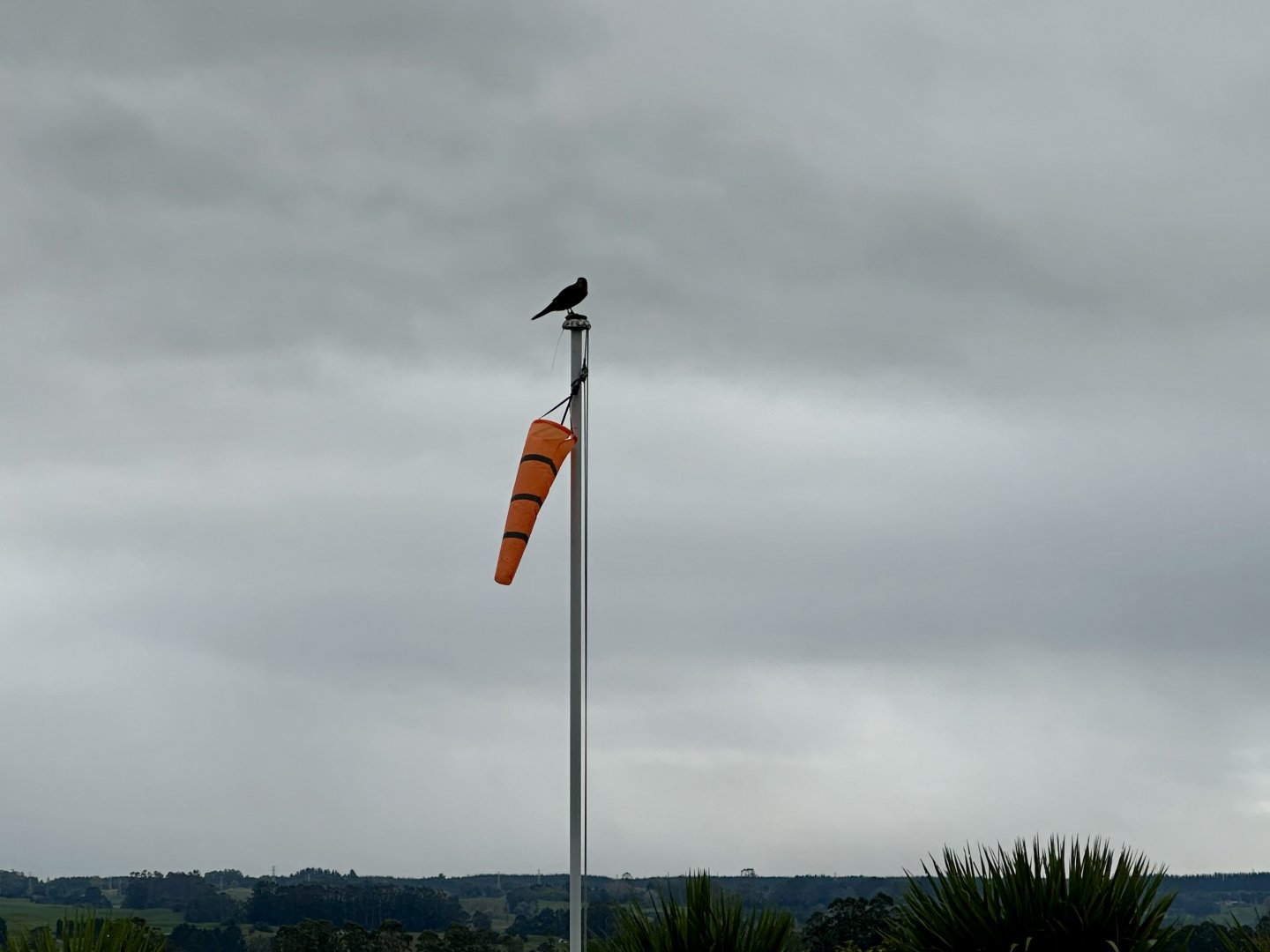 Flight Demonstration Target Pole