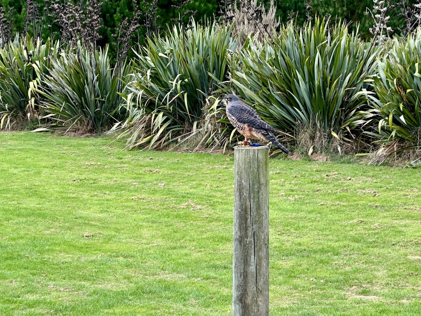Flight Demonstration Target Pole