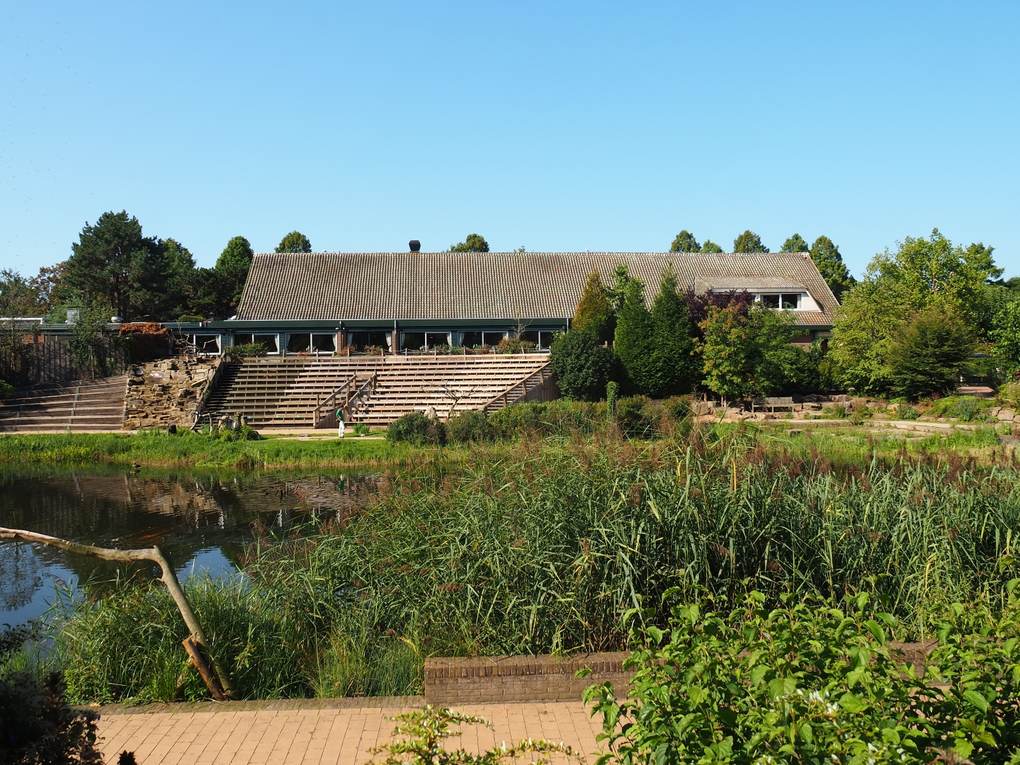Flight show area (Sep 2nd, 2018)