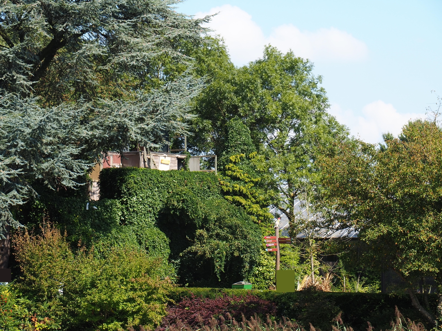 Flight show platform (Sep 2nd, 2018)