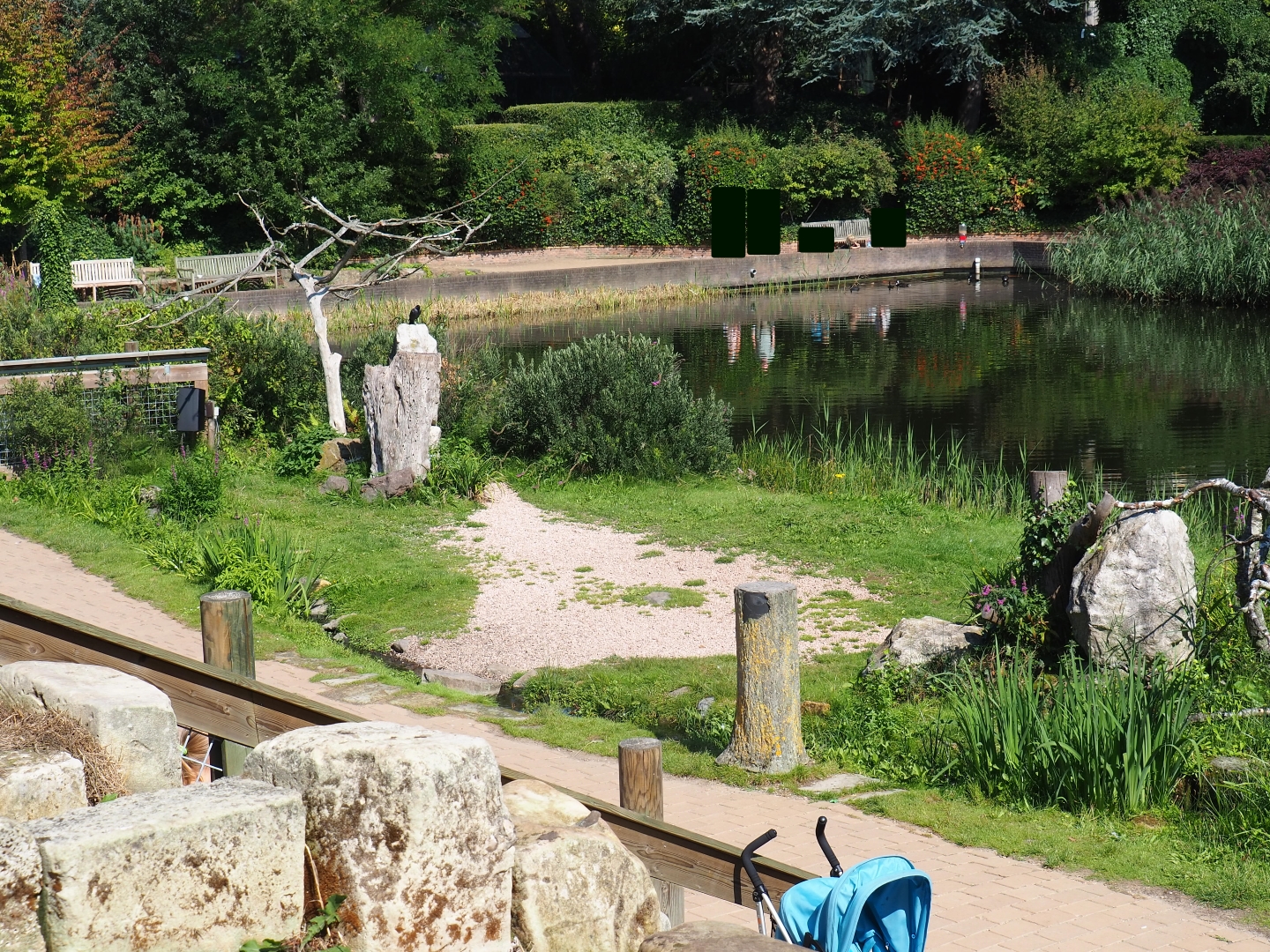 Flight show presentation area (Sep 2nd, 2018)