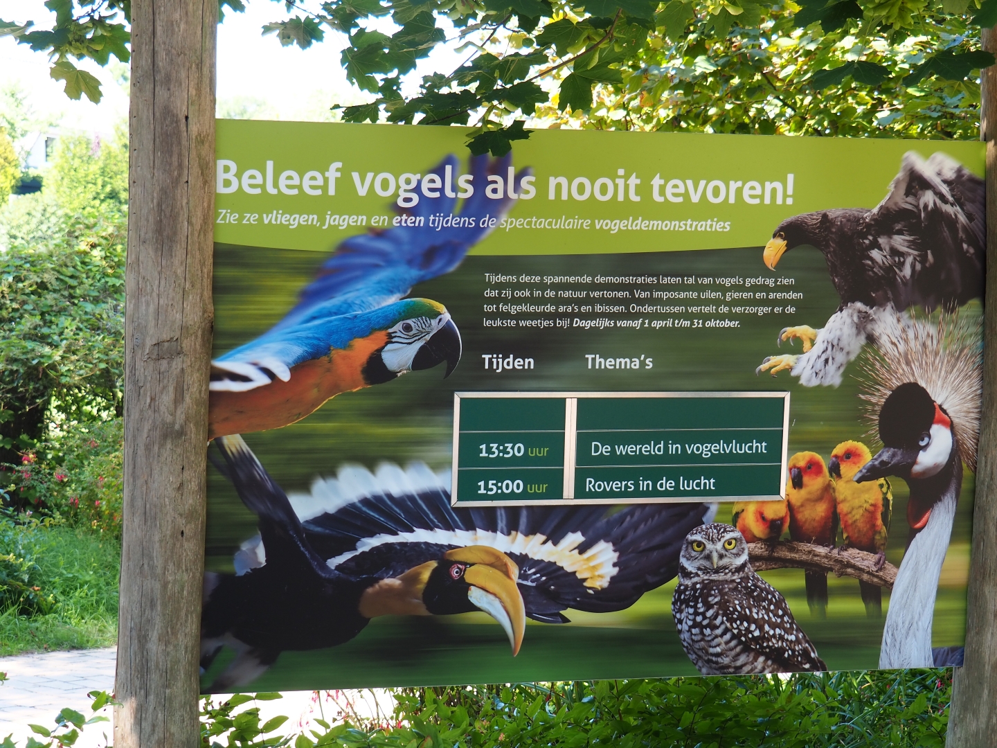 Flight shows schedule sign (Sep 2nd, 2018)