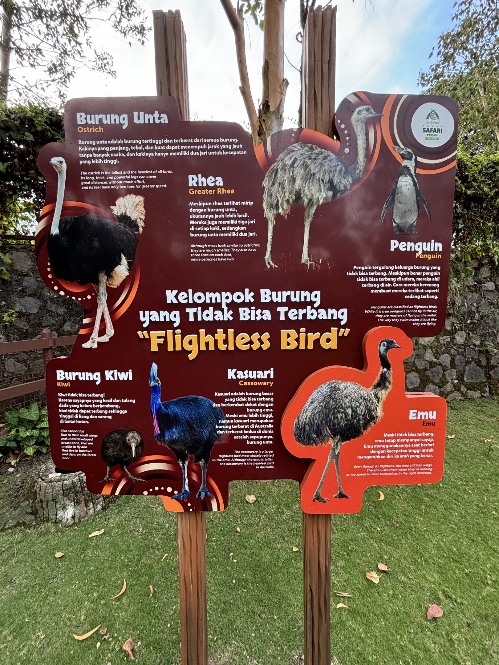 Flightless Bird Sign