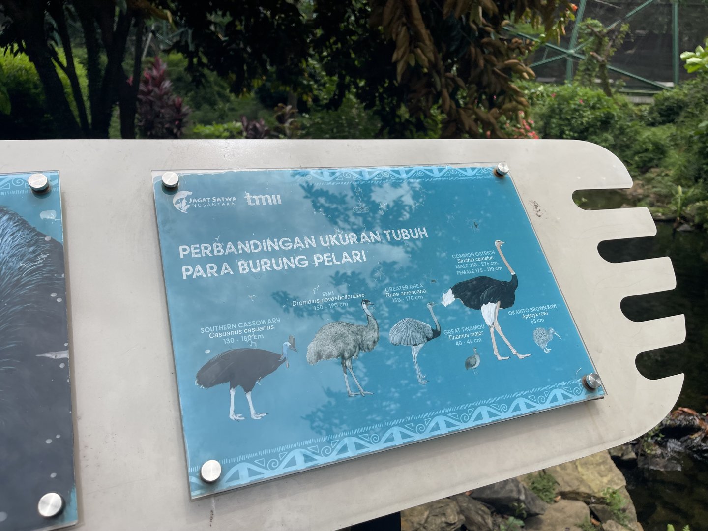 flightless birds comparison signage - taman burung