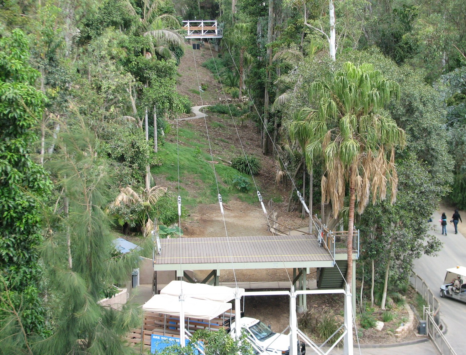 Flightline - Small Practice Zipline in Former Australian Forest