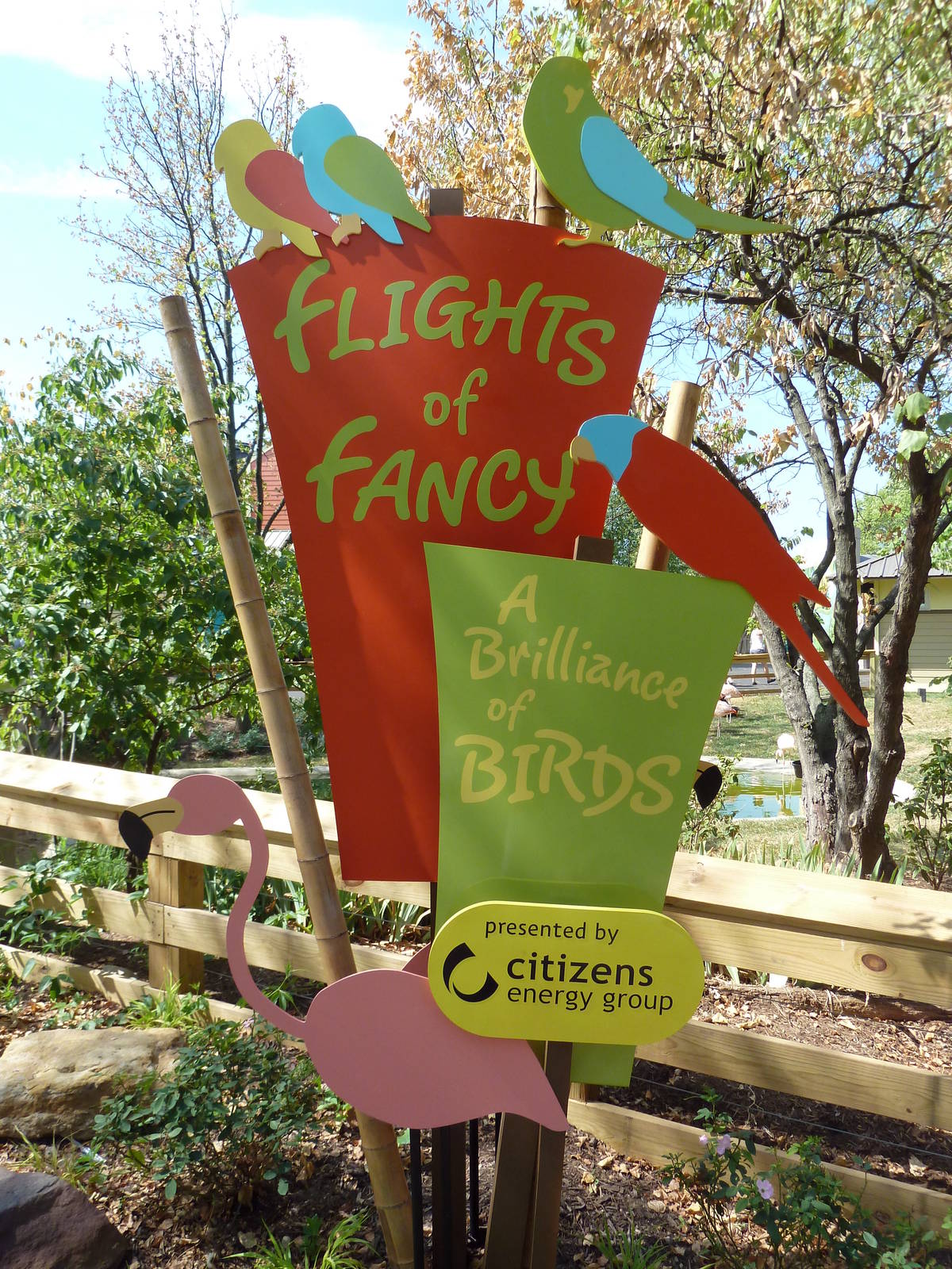 Flights of Fancy: A Brilliance of Birds (2012 Addition)