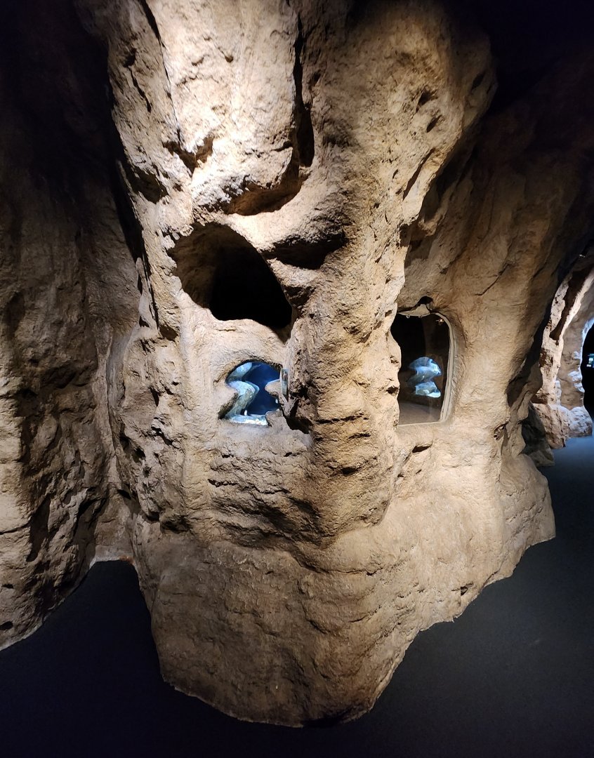 Flint RiverQuarium - Cavefish exhibit