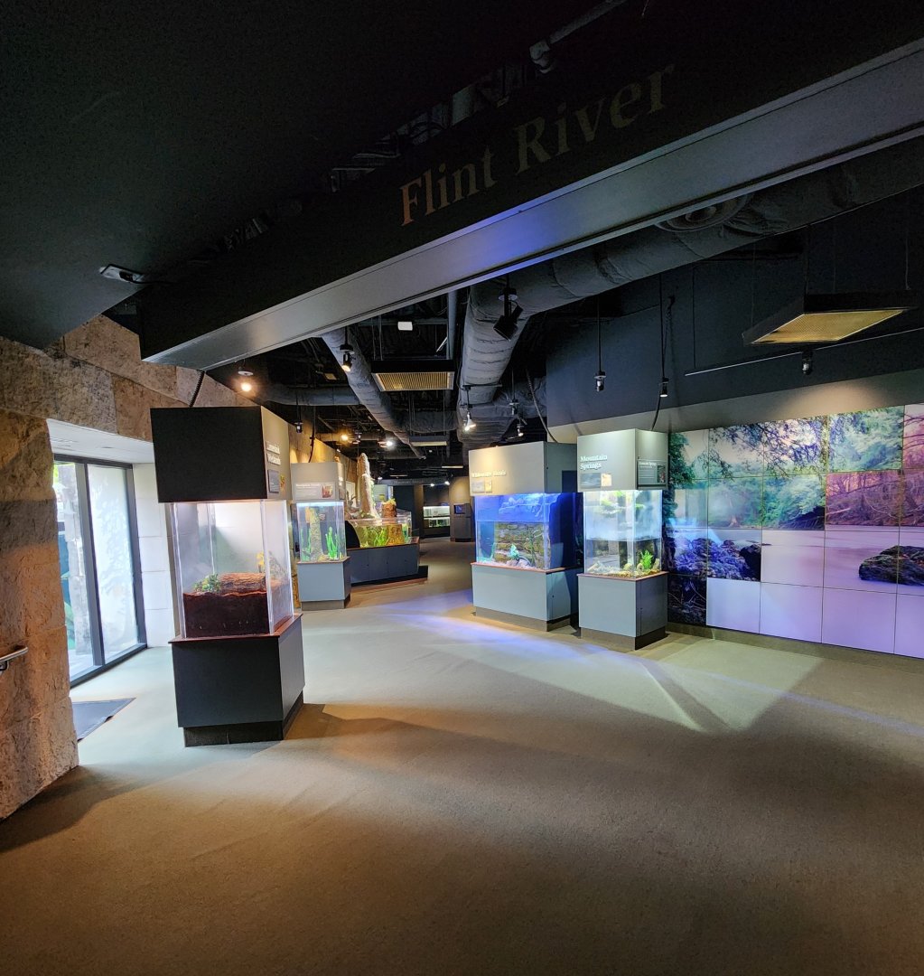 Flint RiverQuarium - Flint River exhibit area