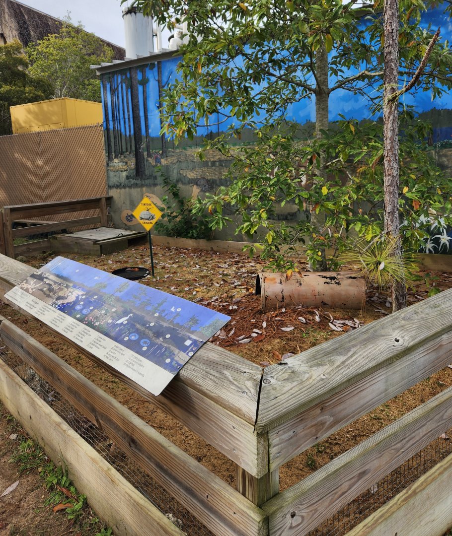 Flint RiverQuarium - Gopher Tortoise enclosure