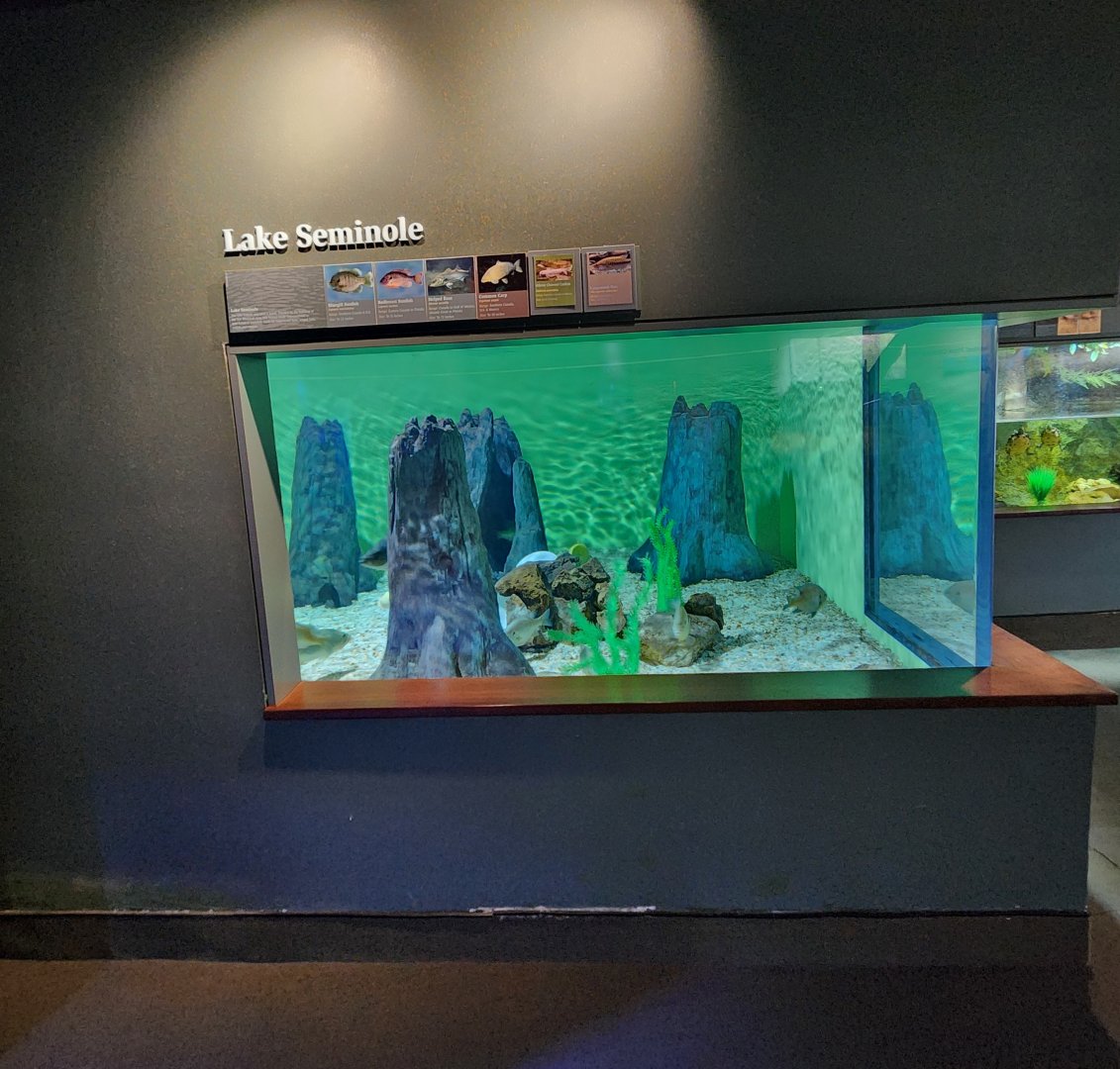 Flint RiverQuarium - Lake Seminole tank
