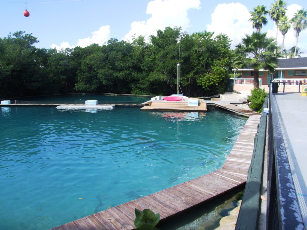 Flipper Dolphin Show Stadium at Miami Seaquarium, 16/10/13