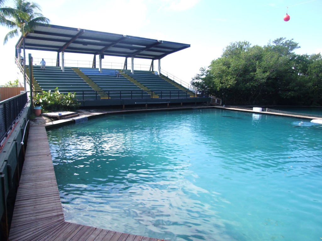 Flipper Dolphin Show Stadium at Miami Seaquarium, 16/10/13