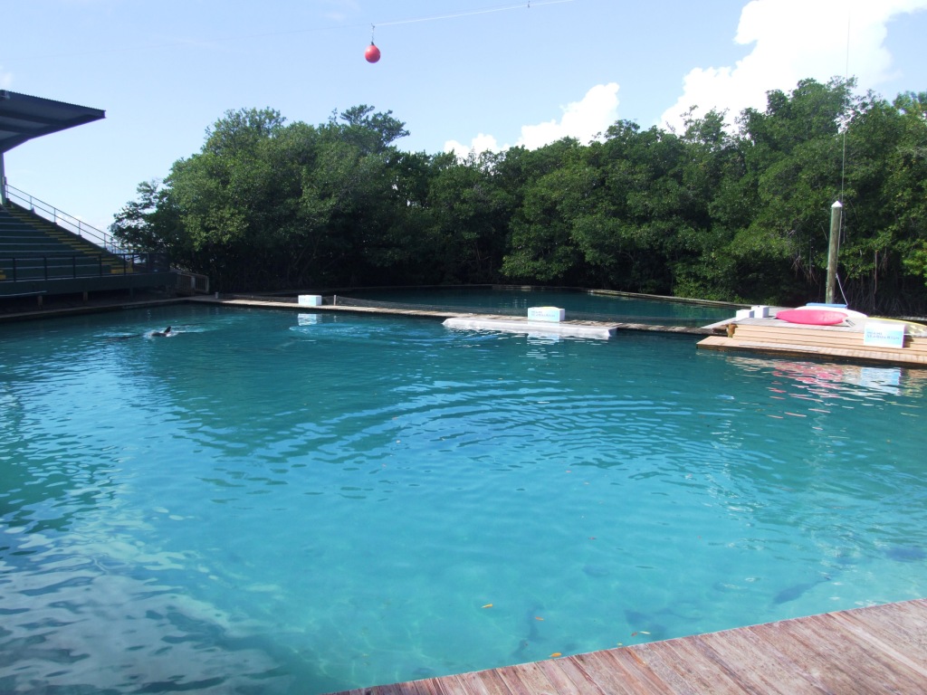 Flipper Dolphin Show Stadium at Miami Seaquarium, 16/10/13