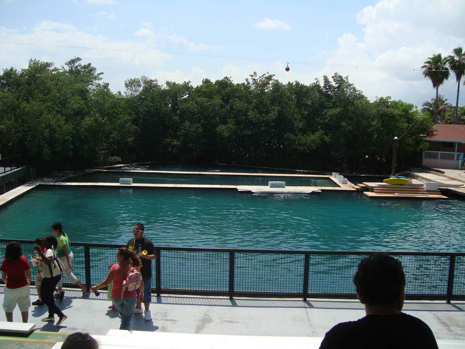Flipper lagoon