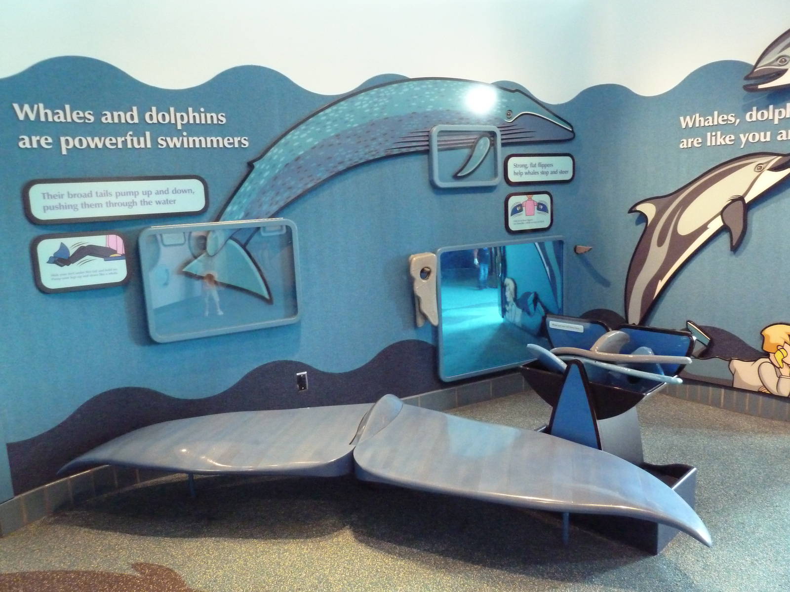 Flippers, Flukes + Fun - Kiddie Zone