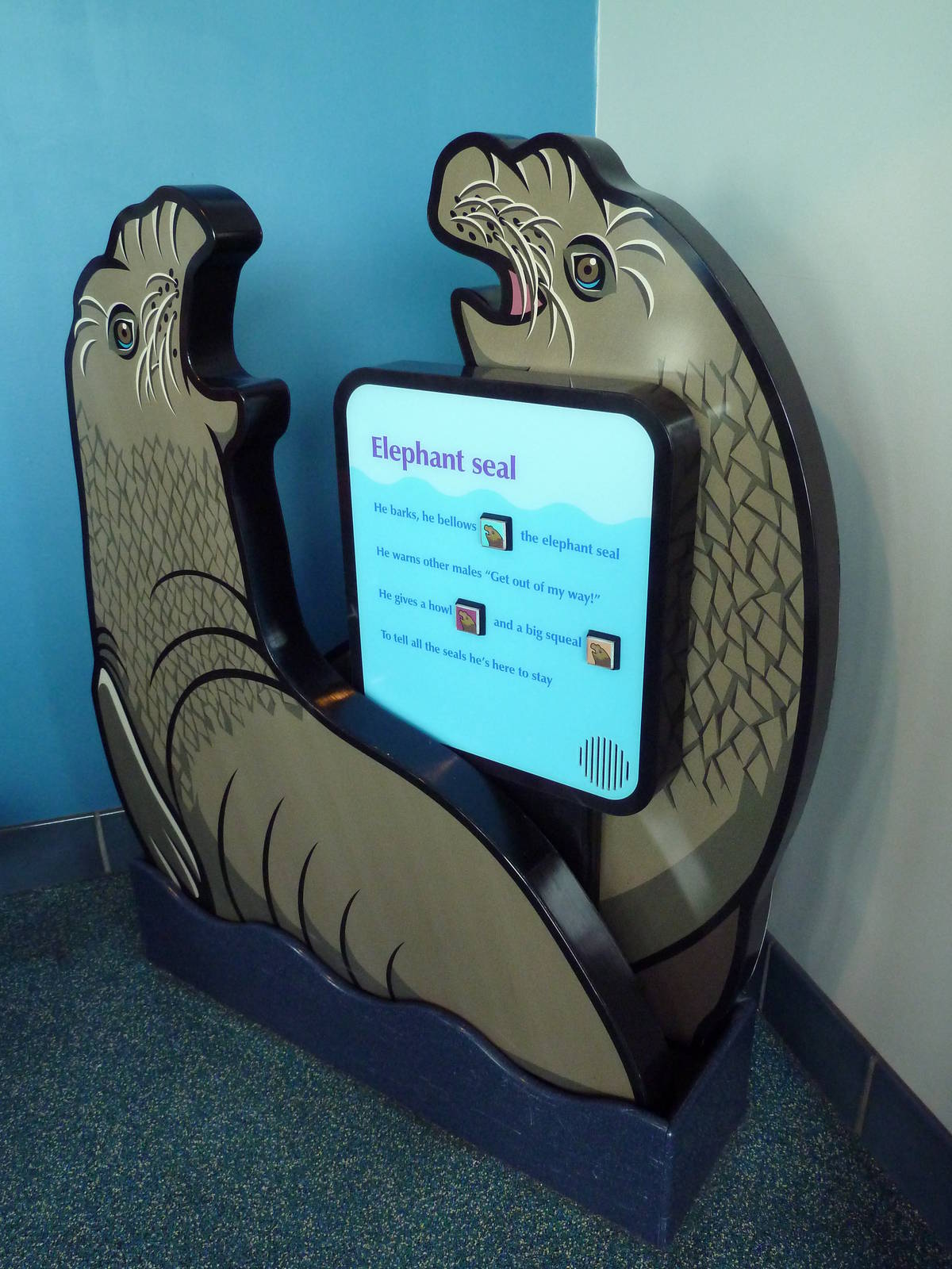 Flippers, Flukes + Fun - Kiddie Zone