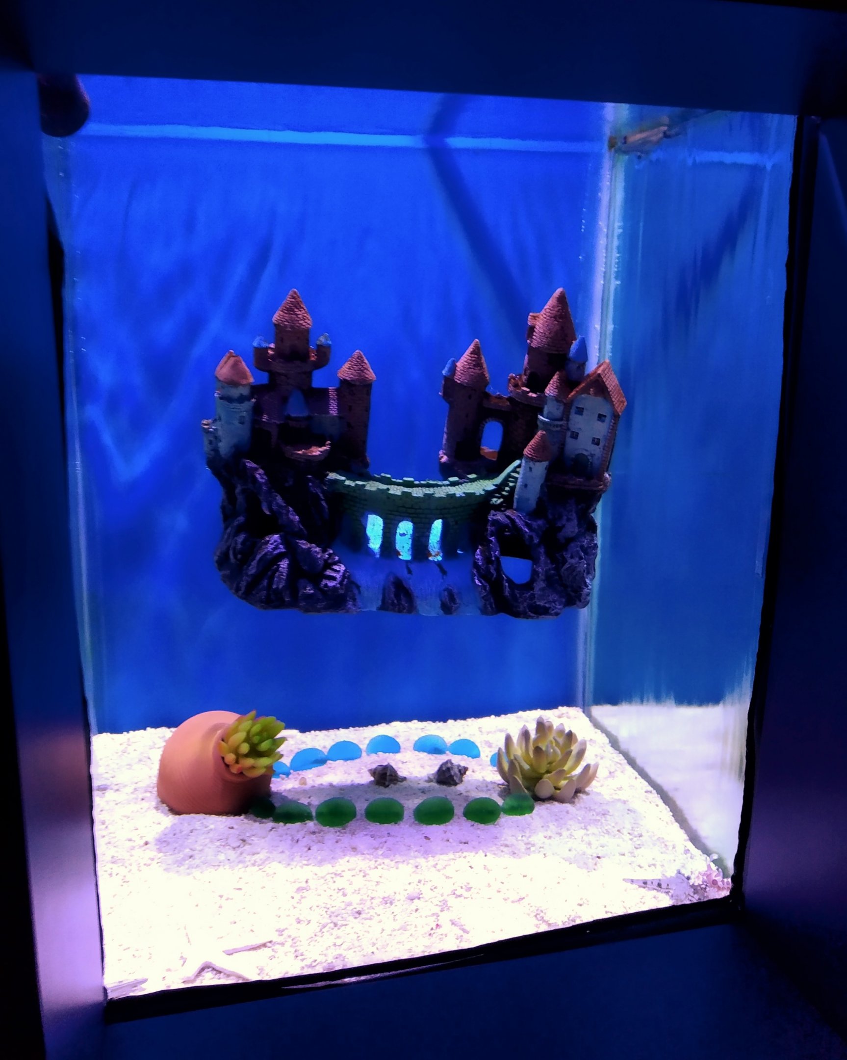 Floating Castle Aquarium