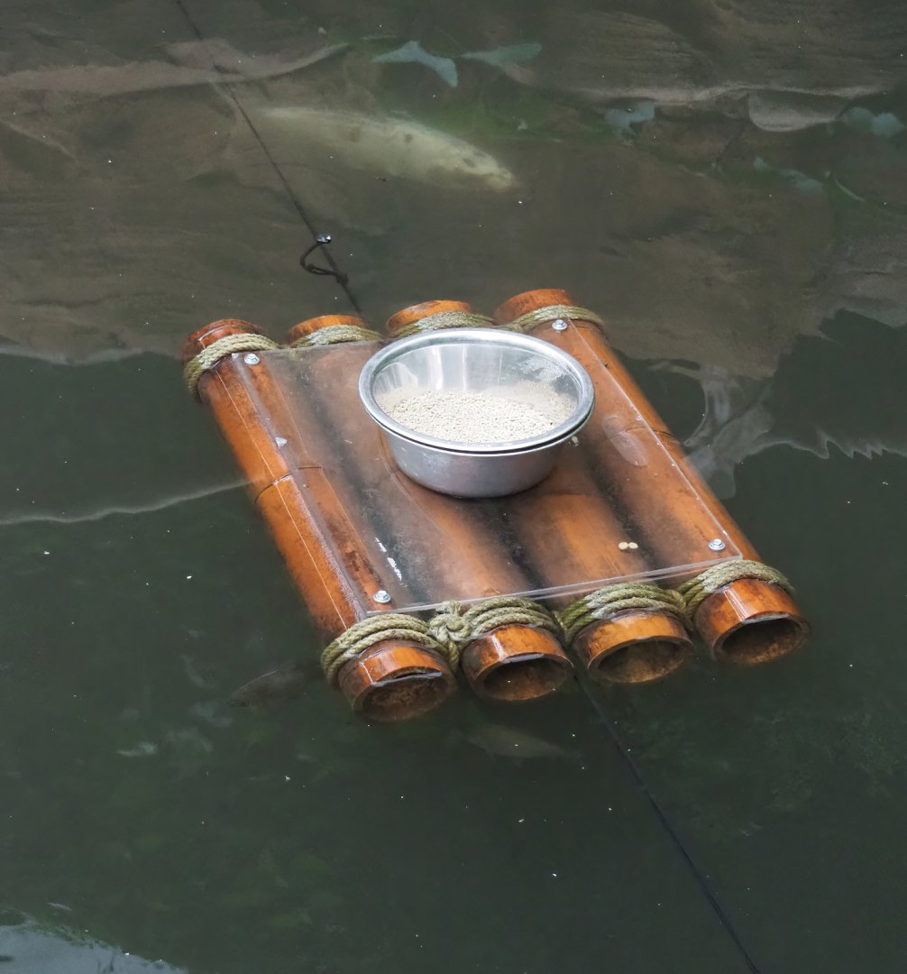 Floating duck feeding platform, 2023-10-13