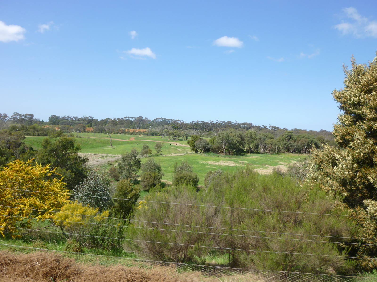 Flood Plain Savannah