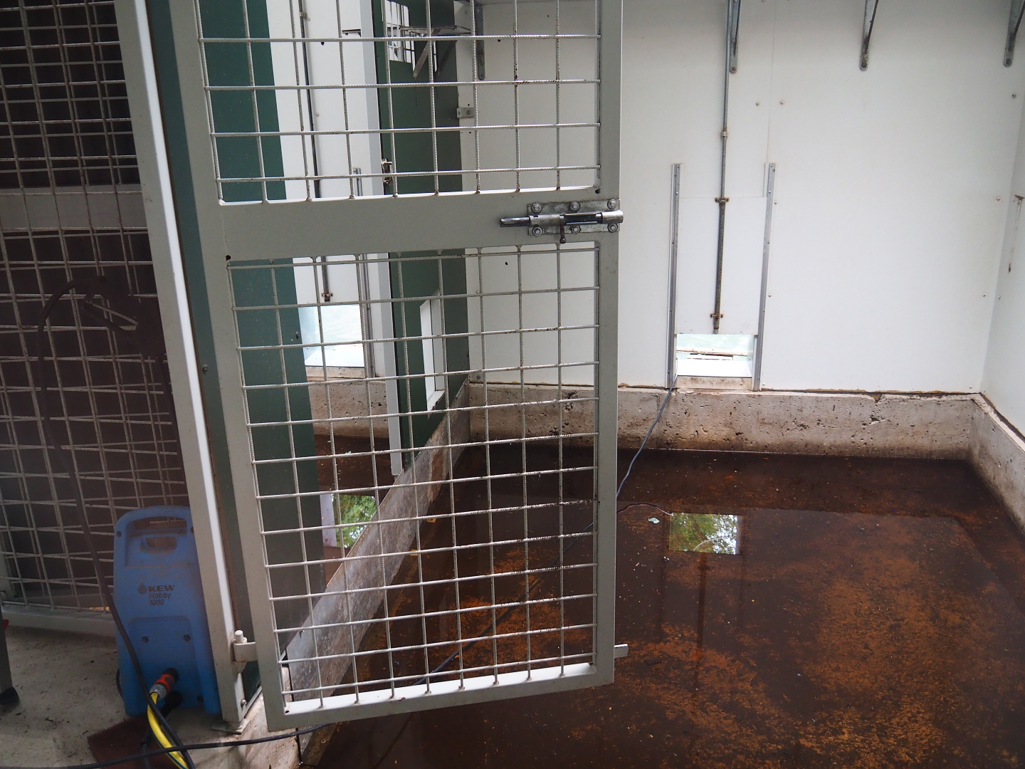 Flooded and empty former lemur house, 2019-08-11