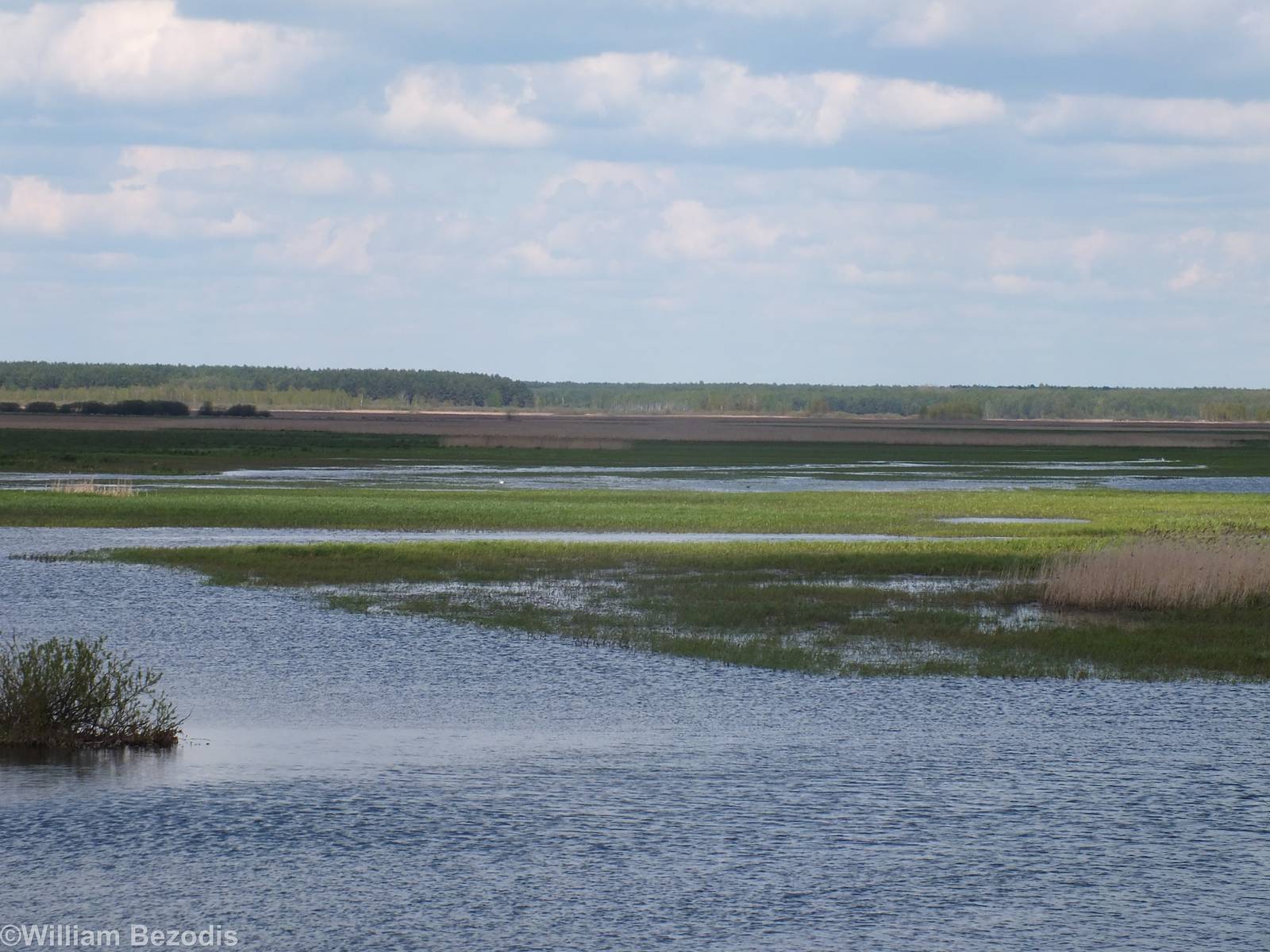 Flooded Fields - Biebrza Marshes