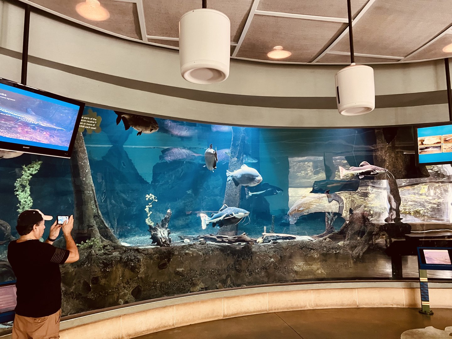 Flooded Forest Exhibit