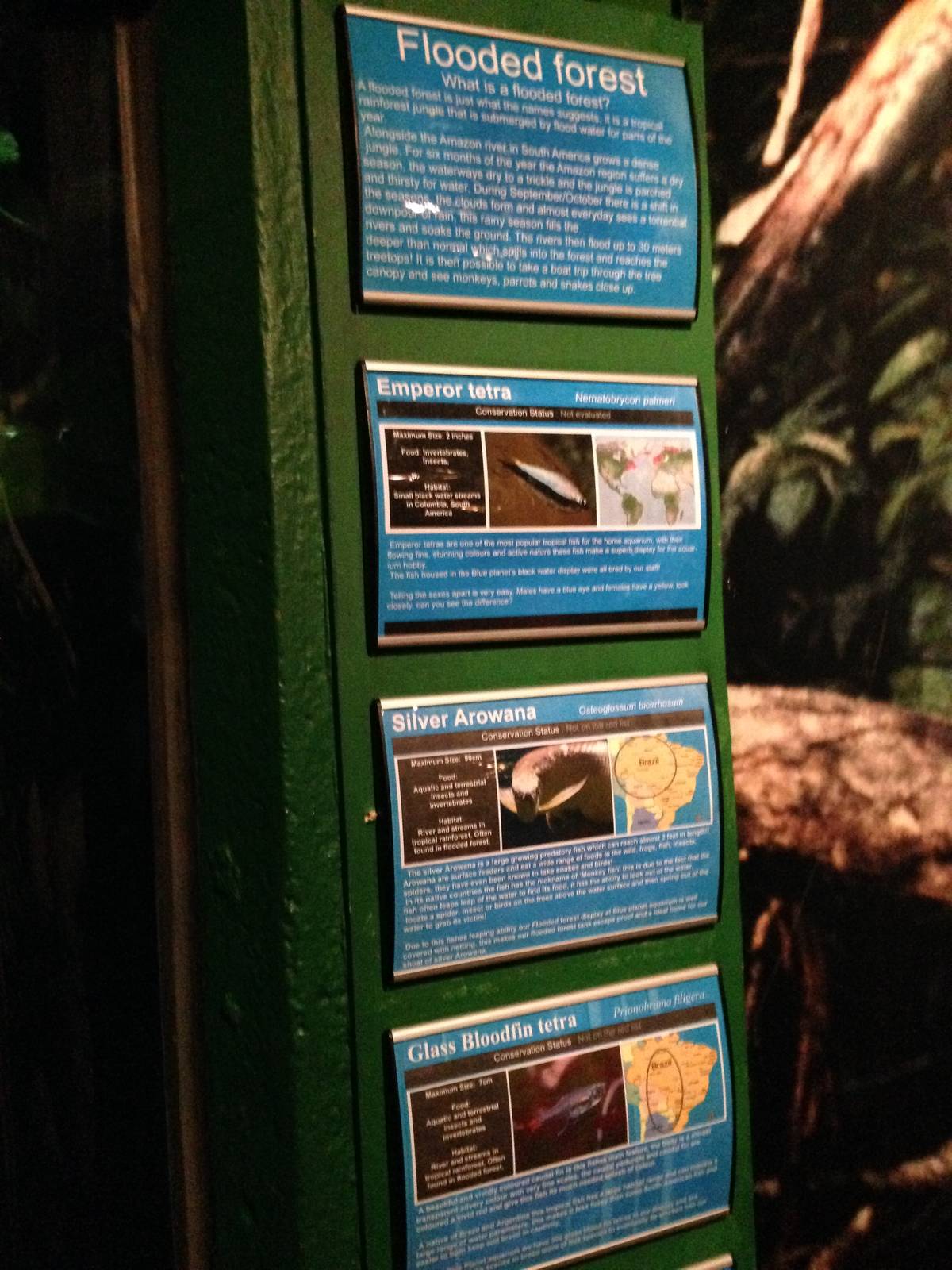 Flooded Forest Signage at Blue Planet Aquarium - 05/10/2013