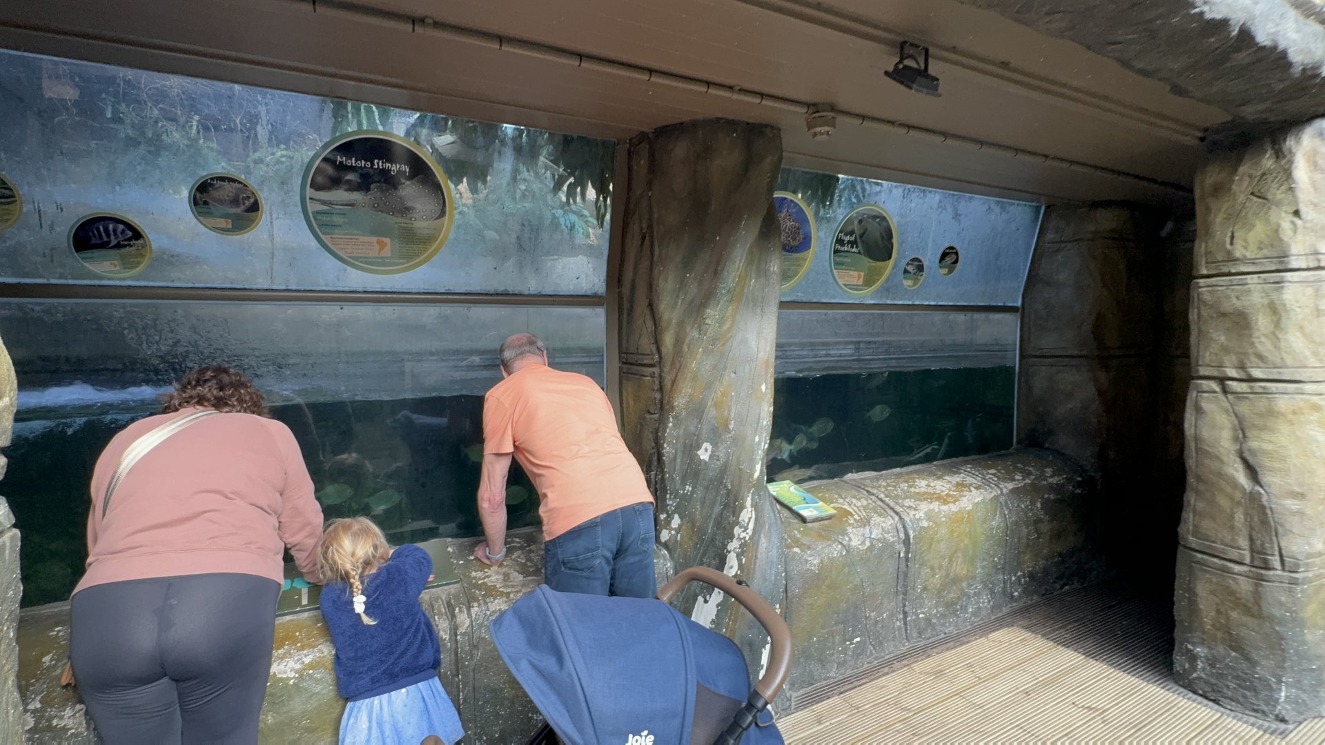 Flooded Forest Tank at Tropical World (October 2024)