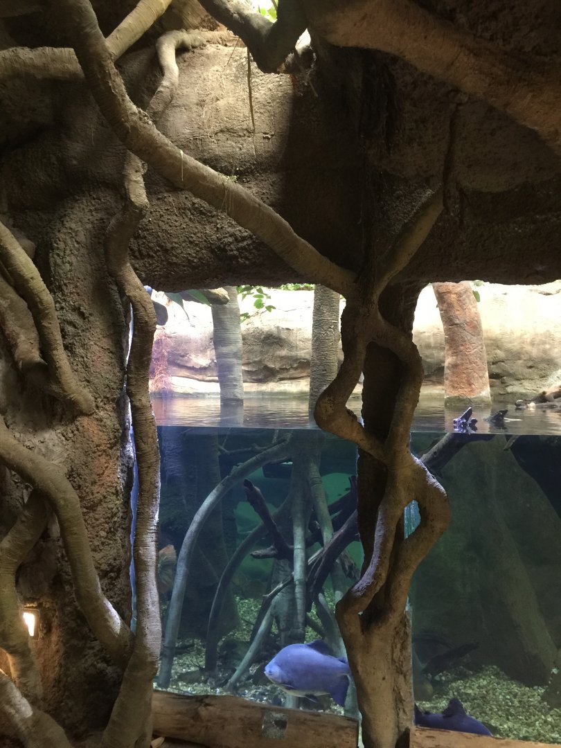 Flooded Forest Tank